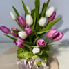 Sleek, bright and beautiful, this enchanting mix of tulips in pretty pastel
