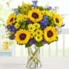 Inspired by the colorful charm of the European countryside, our best-selling summer