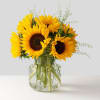 It&#039;s sunflower season, which means our locally sourced sunflowers are in full