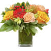 Bright and cheery. Designed to brighten up anyone&#039;s day.
