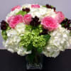 Delightful collection of white and green Hydrangea with pink Roses and burgundy