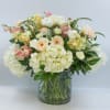 Belle is epitome of luxury and packed with a variety of stunning
