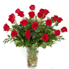 Long stem Ecuadorian roses with large beautiful heads that open beautifully every
