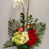 Tropical romance is a beautiful romantic arrangement with orchid, roses, hydrangea and