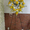 Yellow and white flowers
