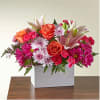 From life&#039;s big moments to sweet just because sentiments, the Light of
