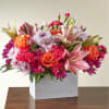 From life&#039;s big moments to sweet just because sentiments, the Light of