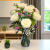 A dozen white roses - pure and graceful, their delicate petals unfurl