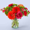 This bouquet always arrives in style. Topping our list is Best Dressed