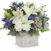 Sleek yet sweet! This stylish arrangement pairs a sculptural succulent with delicate