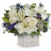 Sleek yet sweet! This stylish arrangement pairs a sculptural succulent with delicate