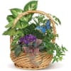 A pretty basket filled with a mix of green plants and a