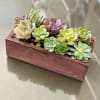 Life just got a bit greener with Verdugo! Whether you&rsquo;re looking to