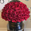25 Premium Fresh Red Roses

