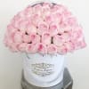 50 Dust Pink fresh roses in our Signature Box