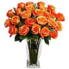 One dozen orange premium long stem roses in glass vase 