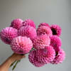 Please read the following instructions before placing your order.

Bulk flower orders placed