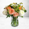 Peach Meadow Delight is a burst of happiness in bloom, perfect for