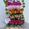 Sweet pinks, creamy whites, and playful greens. No calories, just smiles