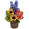 Bright and cheerful, this compact arrangement features sunny sunflowers, vivid blue delphinium