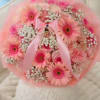 A soft and elegant bouquet bursting with blush pink gerberas, roses, carnations