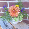 Mini arrangement made in a shot glass size mason jar or espresso