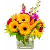 Send a little Ray of Sunshine somebody&#039;s way. Handcrafted with Yellow Gerbera