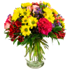 A rainbow of blooms are perfectly perfect for any special occasion! As