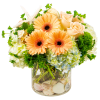 The Seaside Surprise is handcrafted with Peach Gerbera Daisies, Peach Roses, White