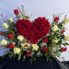 A colorful burst of blooms to brighten an ordinary day.