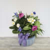 A lush combination of green plants is an exquisite gift. It&#039;s a