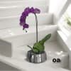 A high quality single orchid Purple arrangement with a vase 7&quot; D