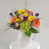 Coral, green, pink, yellow, purple - flowers of the garden in this