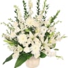 This elegant sympathy arrangement, presented in a 6-inch container, brings a sense