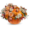 Welcome Fall into your home with this warm and cozy, Hello Pumpkin