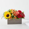 The beautiful shades of fall, all boxed up and ready to delight.