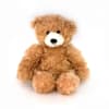 Meet Brandon Bear, a delightful creation from Plushland. Standing at 12&quot;, this