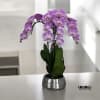 A high quality triple pink orchids arrangement with a vase 9&quot; D