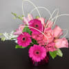 Compact designs give such an impact and ability to showcase each flower.