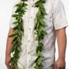 Our Single Strand Maile lei is locally grown and renowned for its