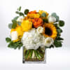 Sunbeam Jubilee radiates pure happiness with its vibrant combination of golden sunflowers