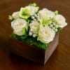  
Bring timeless elegance to any space with Ivory Grace, a luxurious