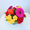 A playful fusion of vivid hues and striking textures, Little Mix Vibrance