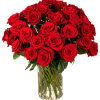 Our classic 3 dozen red roses are designed with long-stem 70 cm