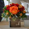 Introducing Ginger, the delightful petite bouquet that proves good things really do