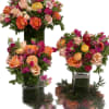 Perfect for the person who wants a cheerful gift of appreciation! This