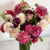 Send a bouquet with the loveliest dahlias in the Bay Area. This