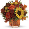 Sunny sunflowers and radiant roses in a happy orange cube vase bring