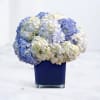 Offer a heartfelt expression of sympathy with Nebula Bloom, a serene and