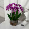 A high quality six purple orchids arrangement with a vase 12&quot; D